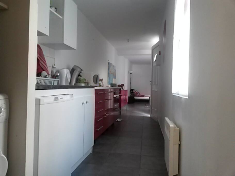 vue de la salle de douche/WC sur coin cuisine et pièce à vivre au fond (