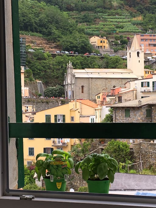 view from the window