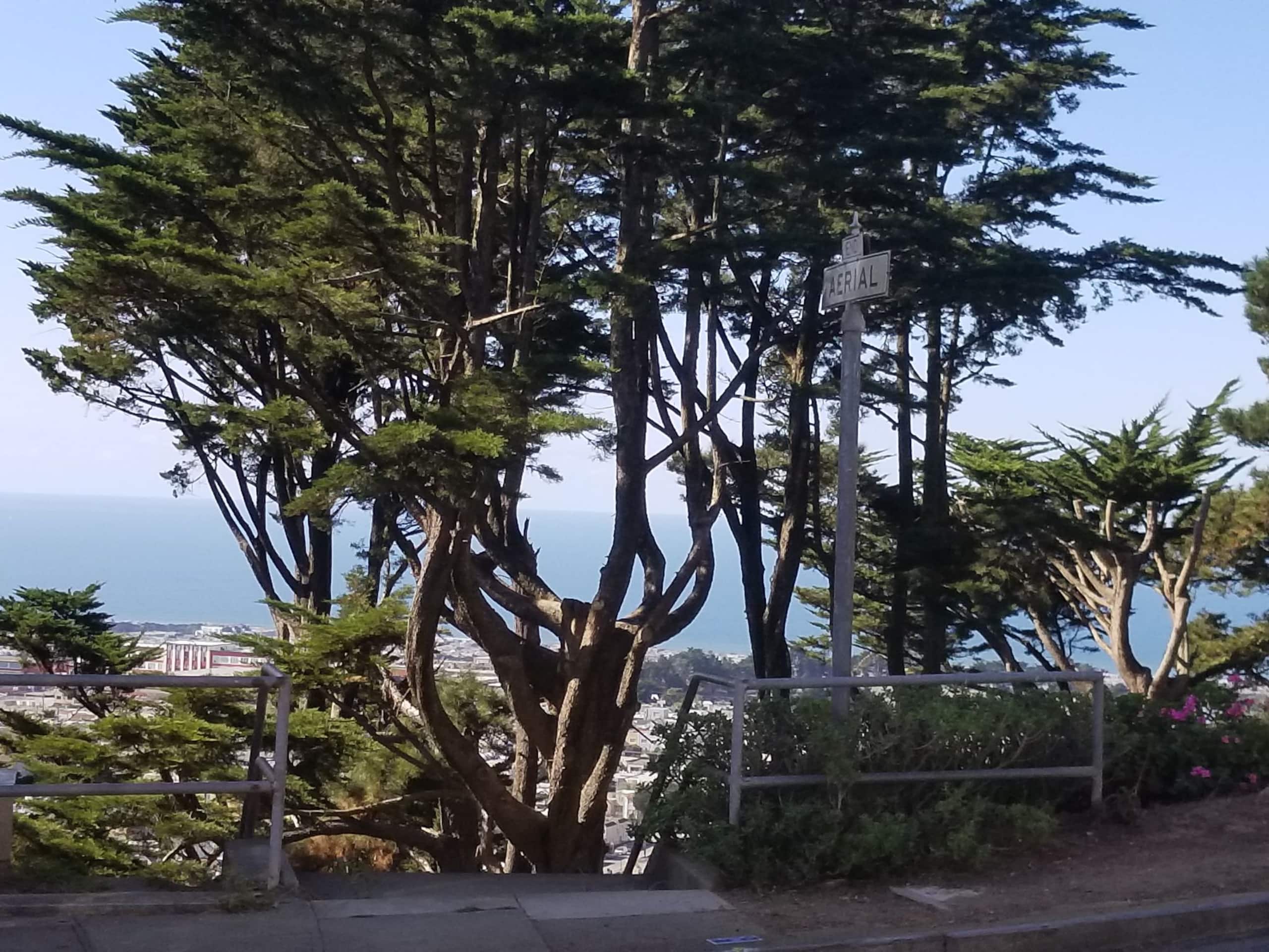 Beautiful in-law type unit with ocean views - Image 18