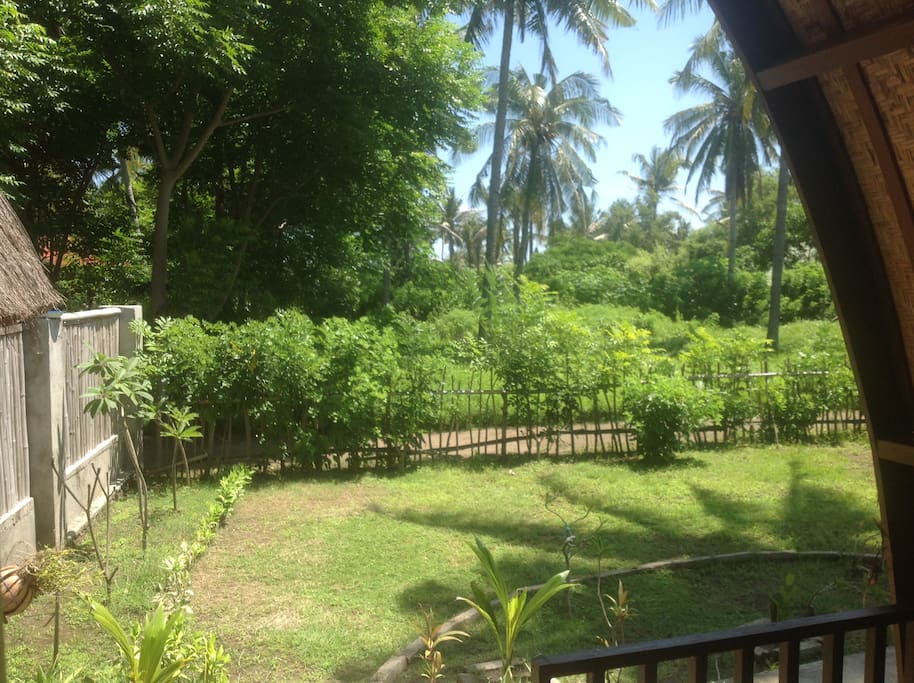 The view from the bungalow - PLEASE NOTE there is now a local shop (warung) on the neighbouring land