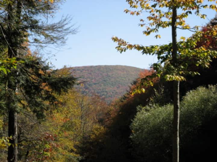 Mountain Magic Happy House Houses for Rent in Phoenicia, New York, United States