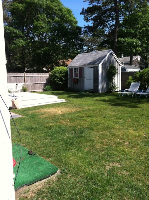 Back yard