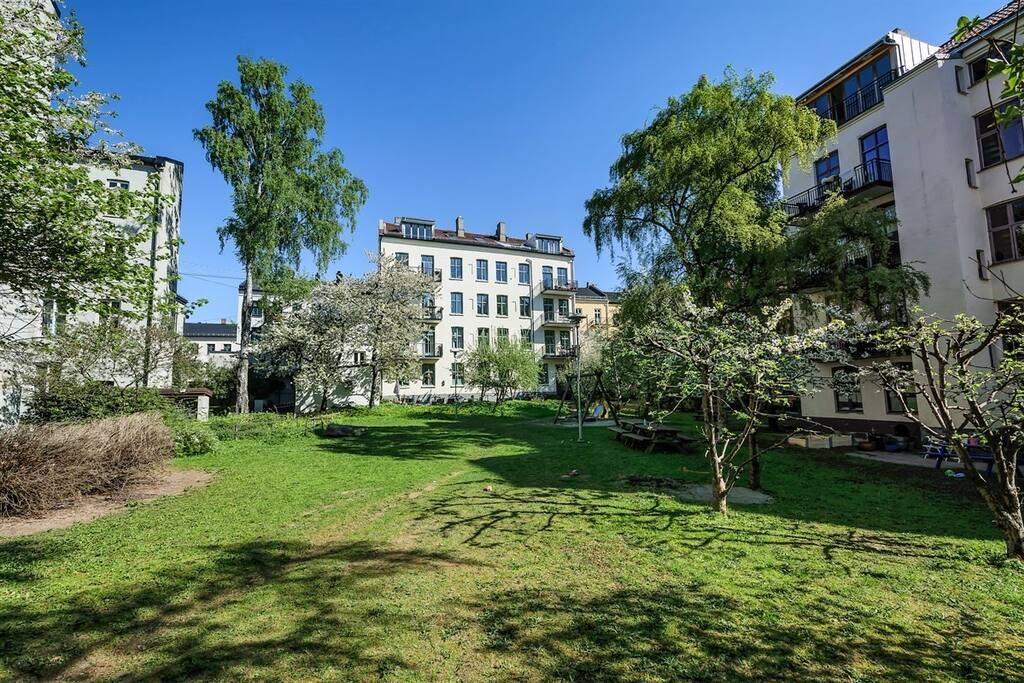 A closed backyard for children to play in