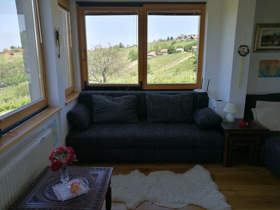 A bright and cozy living room with comfortable sofa. You can enjoy vineyards view.