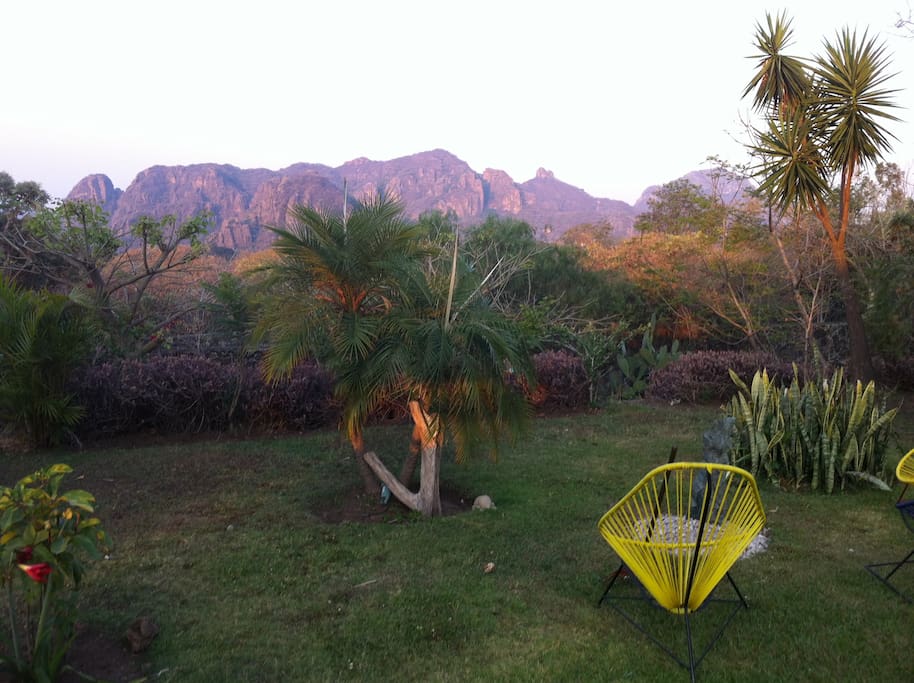 vista desde la alberca