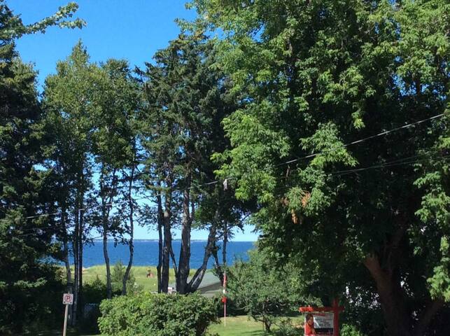 Beach paradise just a click away gallery image 5