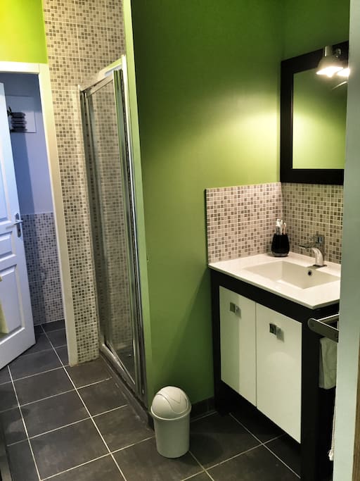 Salle de bain avec douche et WC séparé