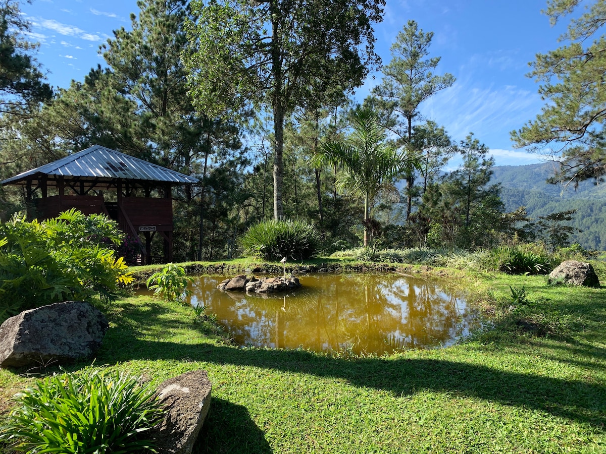Campsite on a Coffee Farm - Spirit Mountain - Campsites for