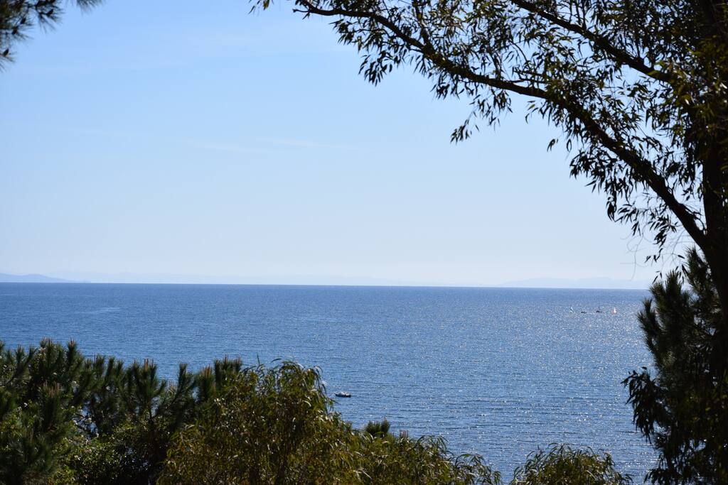Vista dal giardino