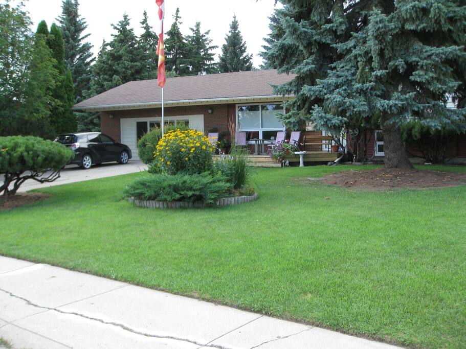 Front Yard