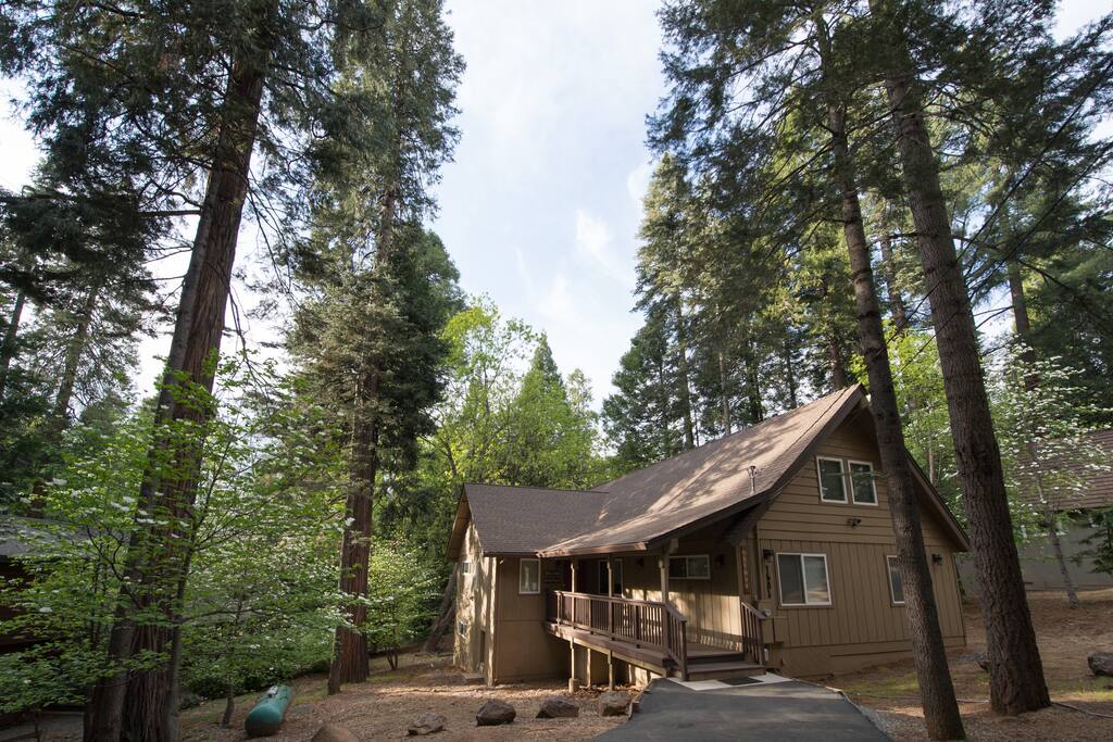 Beautifully nestled in the forest