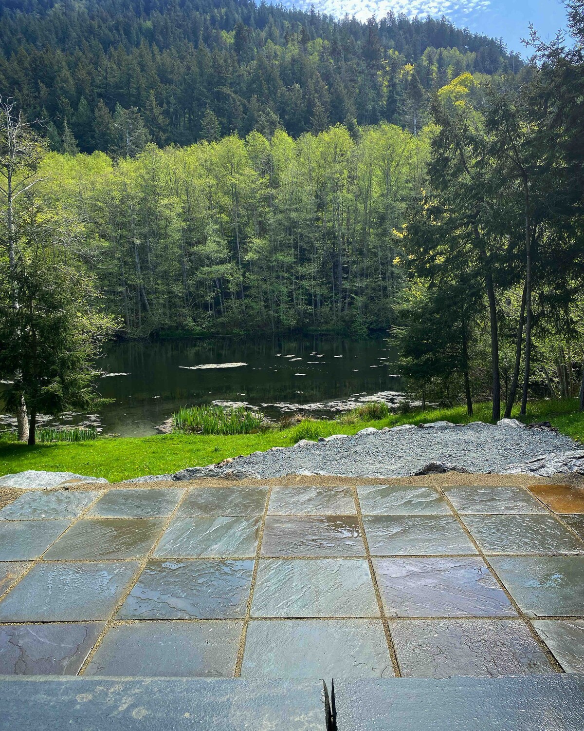 The image captures a serene view of a pond surrounded by lush greenery, offering soft reflections on the water's surface. Slate patio tiles lead towards the pond, while trees and low shrubs frame the scene, contributing to a tranquil natural setting.