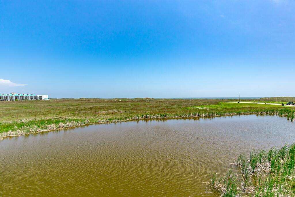 Enjoy views of the pond out the back of the home.