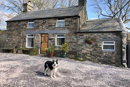 Bryn Tirion Penmachno Discover Snowdonia Cottages For Rent In