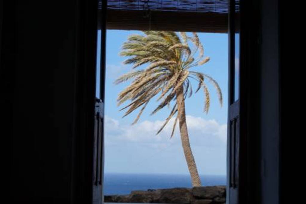 vista