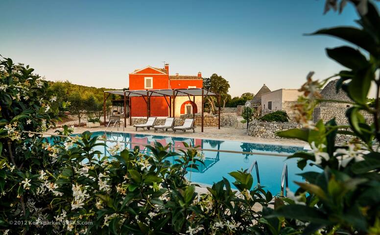 La Cupina gallery image 3