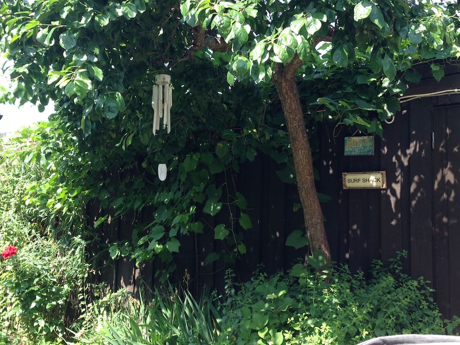 Private garden