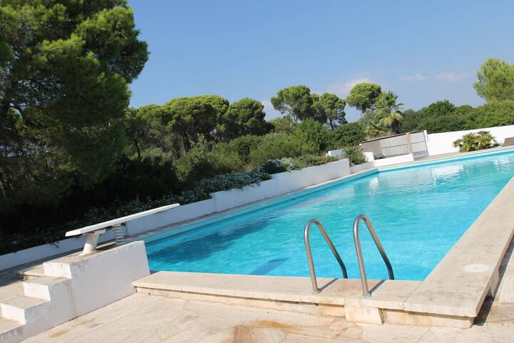 Splendida Villa con Piscina, oasi di pace!!! gallery image 4