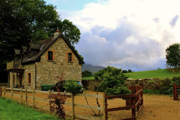 Enclosure in Castlehill (tirawley By., Crossmolina. Par.)