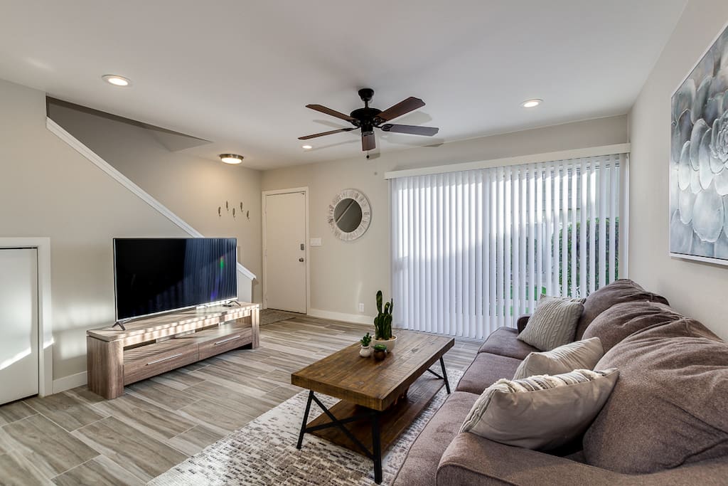Living Room, 55' LG 4K TV, Netflix, boardgames, pull out couch + air mattress