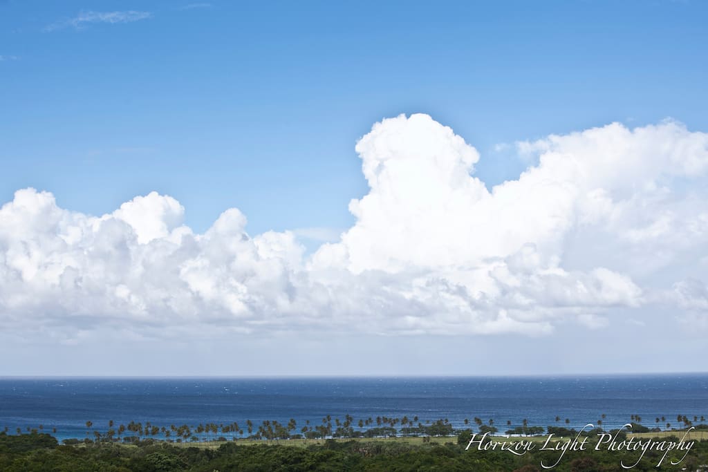View from the verandah where you can watch a whale breach, surfers ride waves, or a cruise ship pass by.