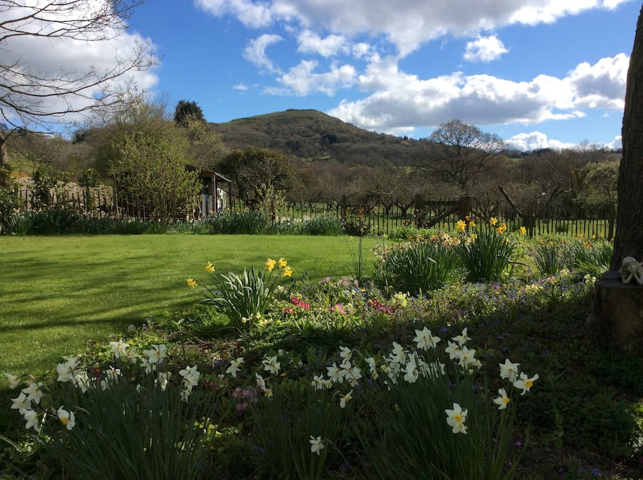 Views across the gardens towards The Malvern Hills Herefordshire Beacon