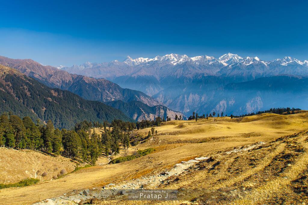Views from the balcony. PC Pratap J
