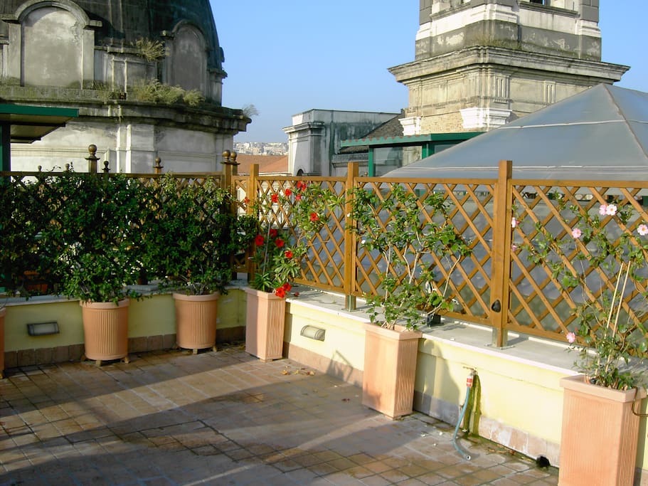 GRIGLIATI TERRAZZO CON RAMPICANTI