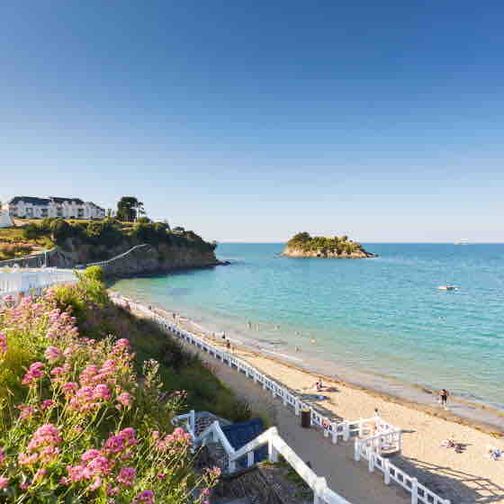 A serene beach scene features soft sand and gentle waves lapping at the shore. A row of white railings lines the beach, leading down from a grassy area adorned with flowering plants. The sea glistens under the clear blue sky, with an island visible in the distance.