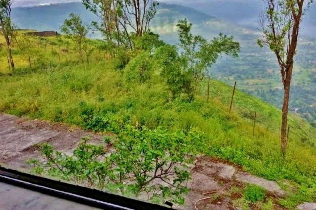 View from Bedrooms