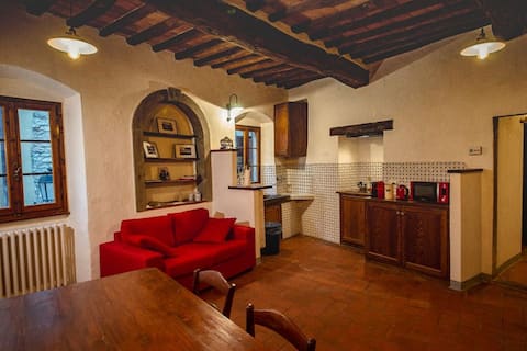 Successful Airbnb property: Il Papavero - Montefioralle Apartment in Greve In Chianti