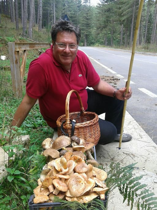 andando per i boschi