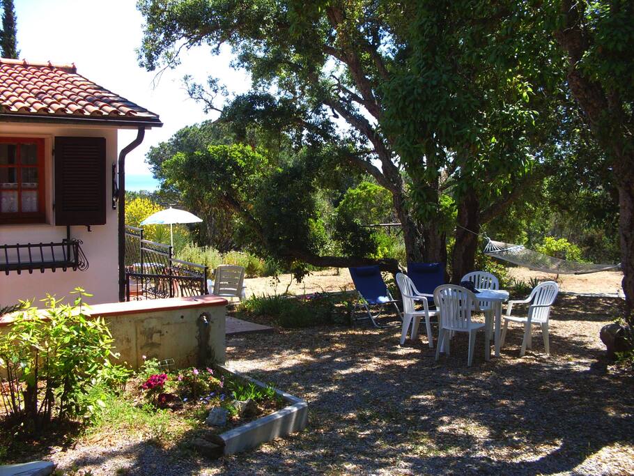 il giardino