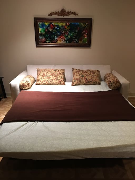 Queen sofa bed in the living room!
