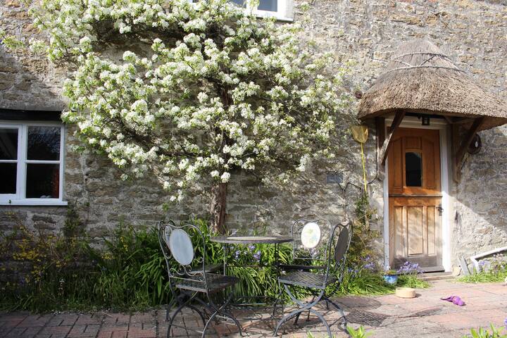 Cosy 3 Bed Cottage Bridport Dorset Cottages For Rent In