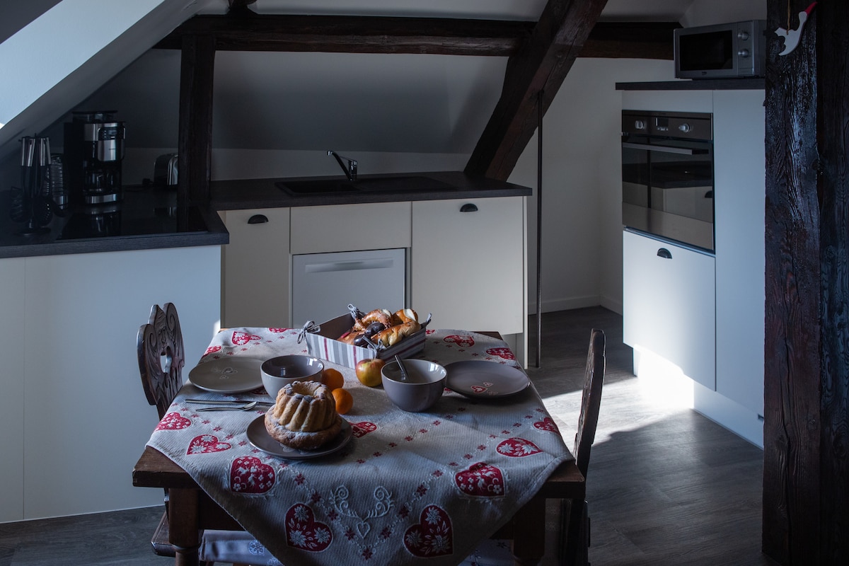 COLMAR appartement 4* @ 1834&Spa