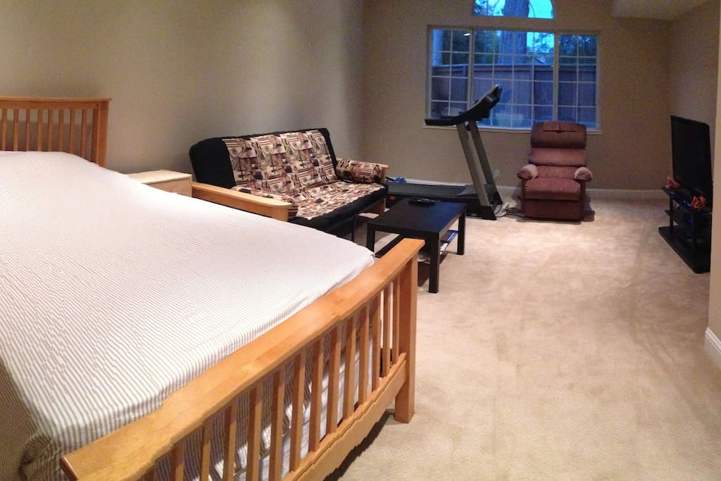 Queen sized bed, sofa with queen sized pull out bed, treadmill and love seat