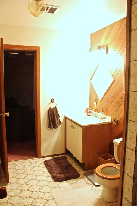Your main floor bathroom w/shower