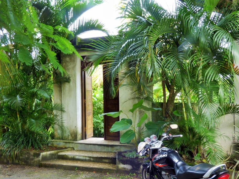 Welcome to our peaceful home in the heart of Canggu