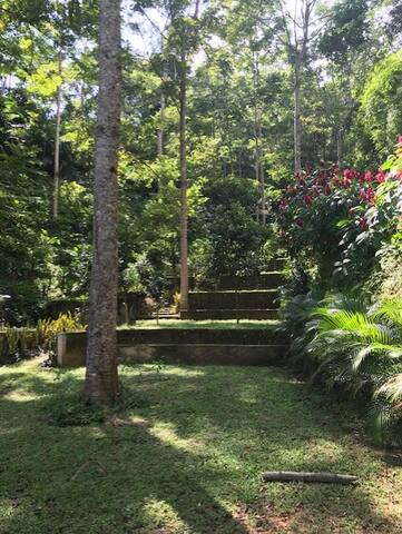 Finca Brasil Coffee Farm And Ecofriendly Space Natur Lodges Zur