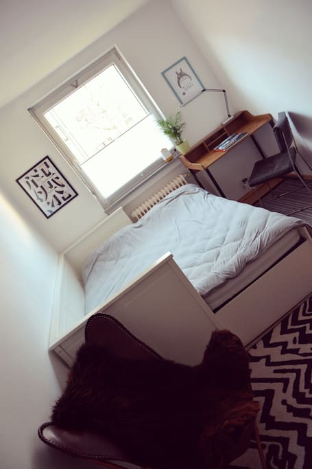 Mein Gastzimmer/ Room in the daytime