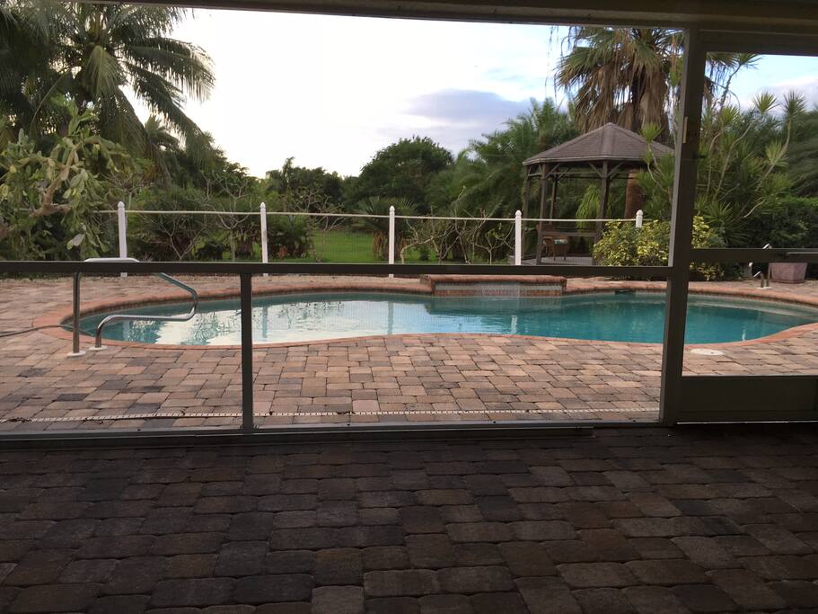 View of the Pool Area