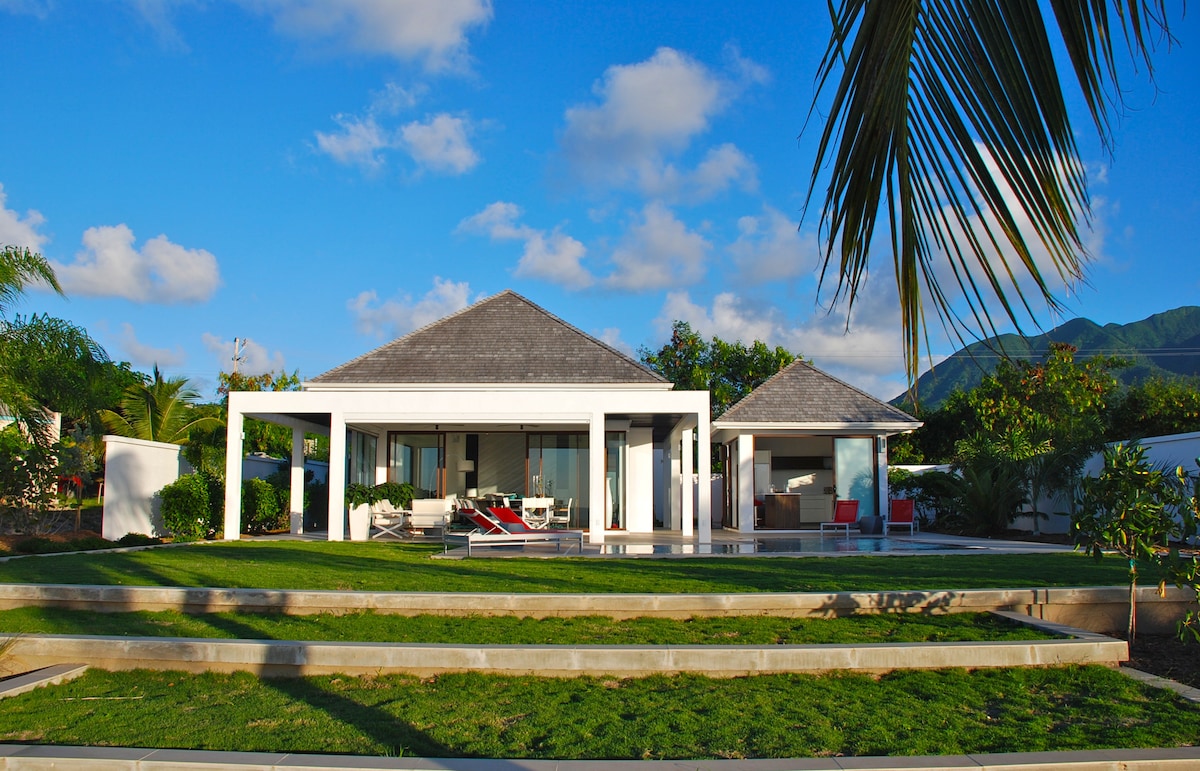 A modern beach house showcases a sleek design with a thatched roof. Large glass doors open to an outdoor terrace, framed by manicured lawns. Surrounding palm trees and tropical plants add greenery, while the clear blue sky complements the contemporary architecture.