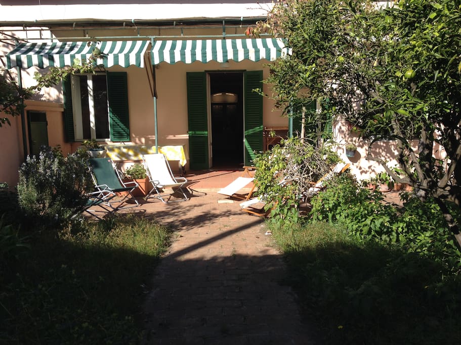 Our garden and terrace