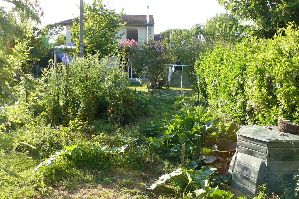 Jardin potager