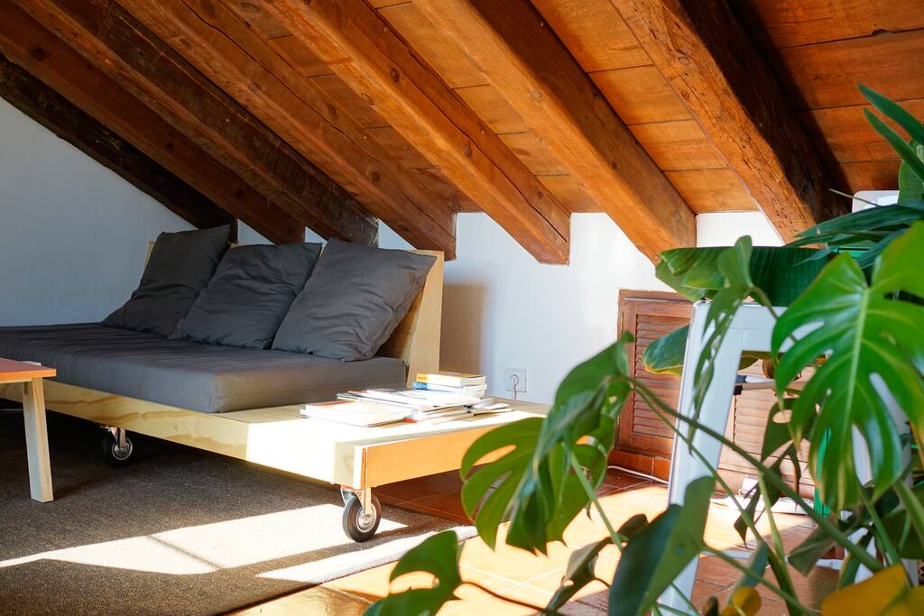 Living room with morning sun