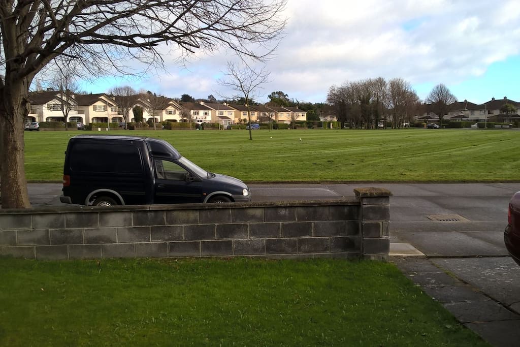Front Garden and open space in front of house