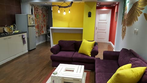 Cozy apt in zamalek