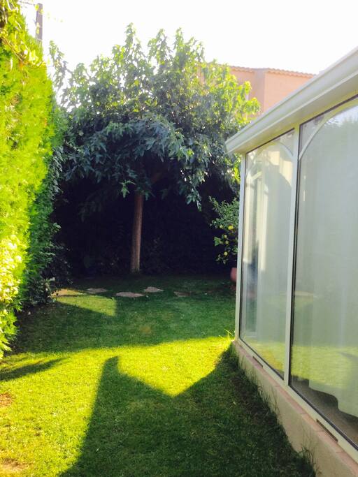 Vue du jardin