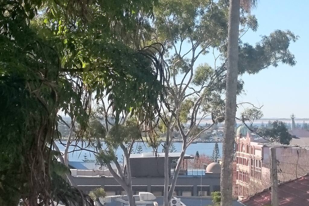Actual View